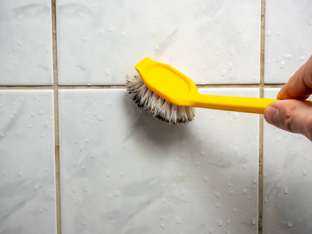 Best Mold Removal Specialists  in Batavia, NY