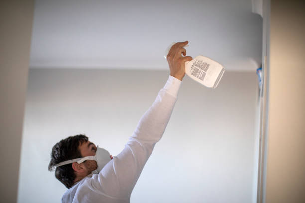 Best Mold Damage Repair  in Batavia, NY